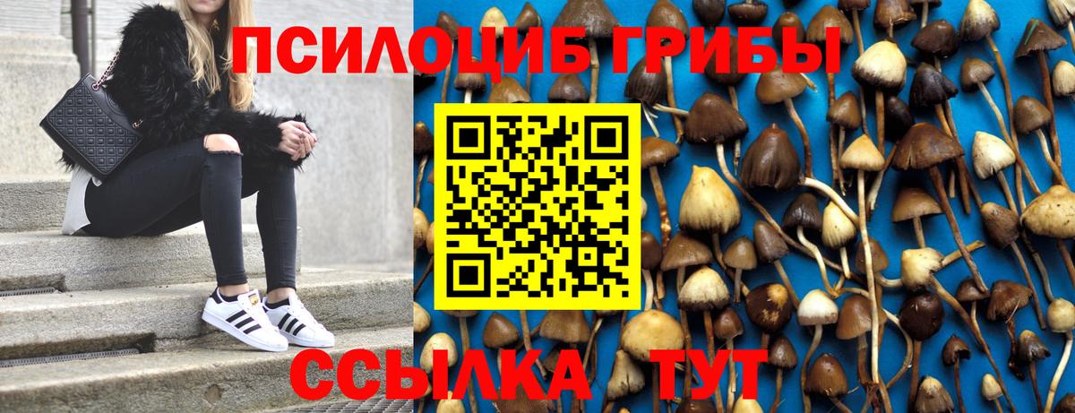 Галлюциногенные грибы Psilocybine cubensis  Вход с VPN  Ессентуки 